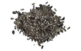 Slunečnice černá 1kg